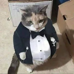 FashionHub