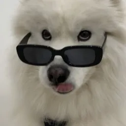 FashionHub