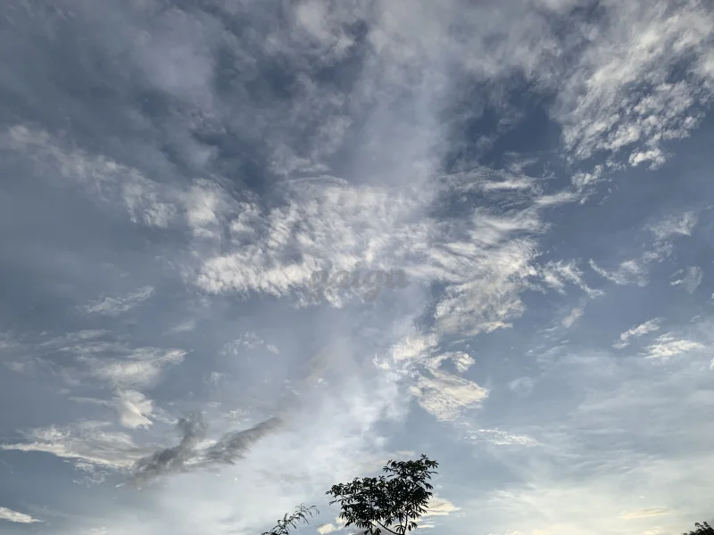 Ảnh bài viết