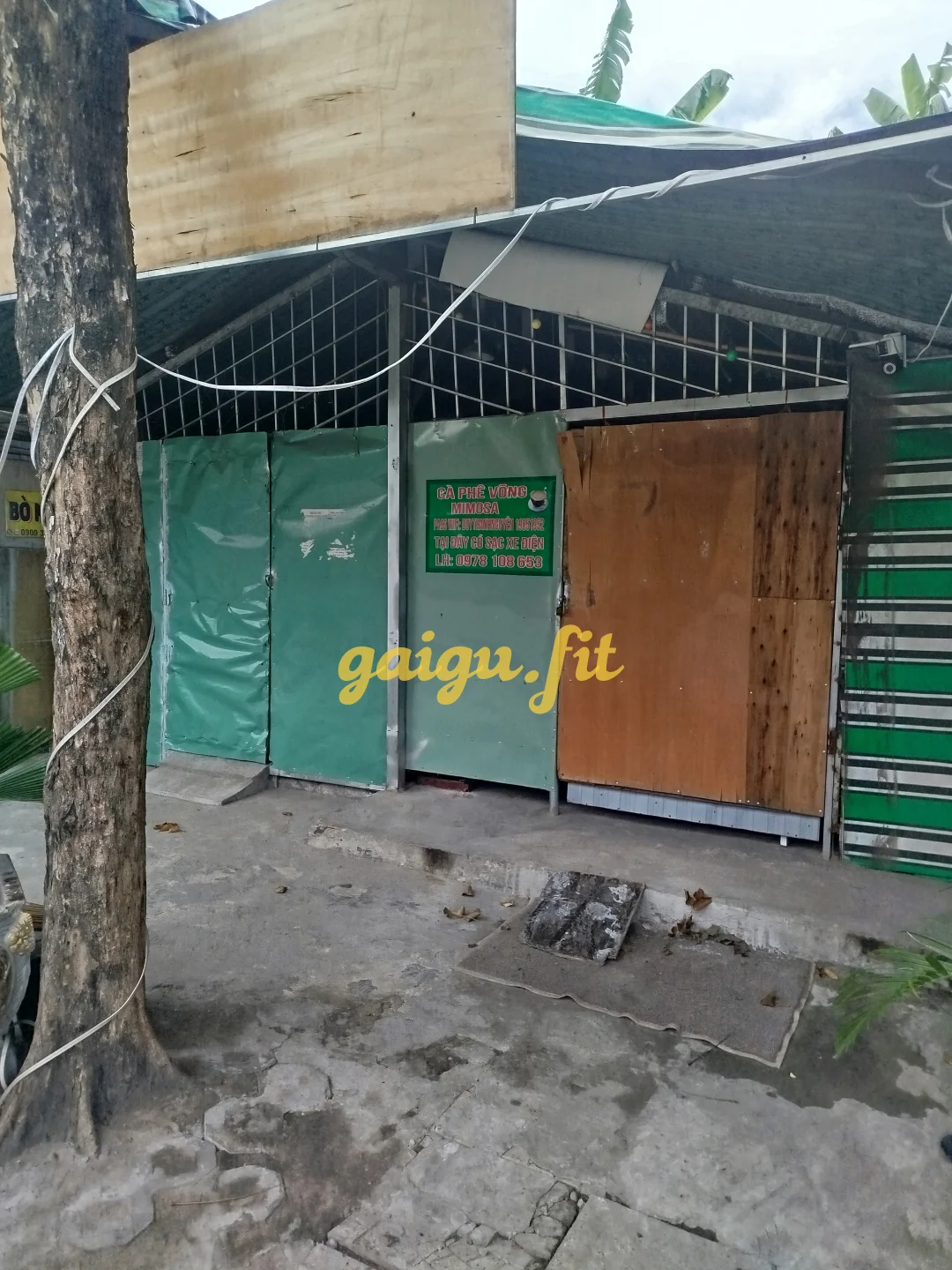 Ảnh bài viết