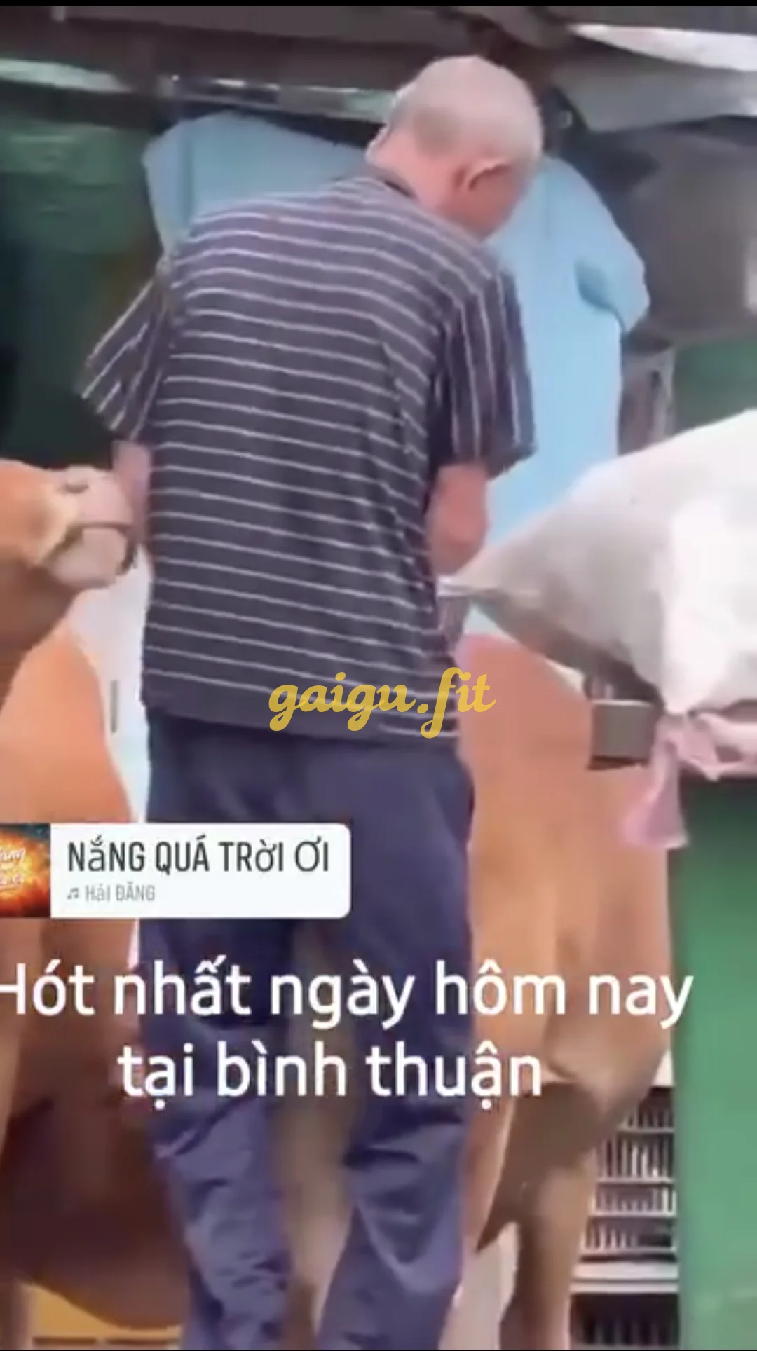 Ảnh bài viết