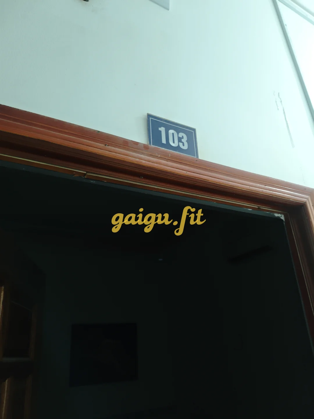 Ảnh bài viết