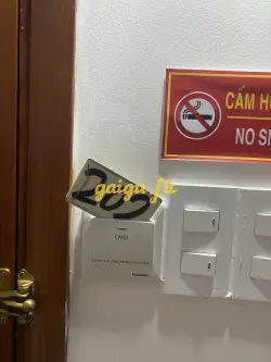 Ảnh đánh giá gái gọi