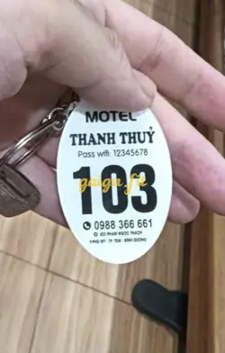 Ảnh đánh giá gái gọi
