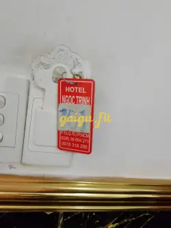 Ảnh đánh giá gái gọi