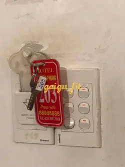 Ảnh đánh giá gái gọi