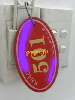 Ảnh đánh giá gái gọi