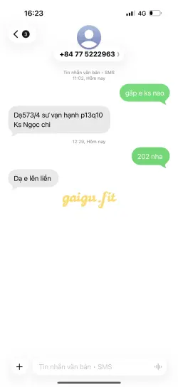 Ảnh đánh giá gái gọi
