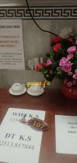 Ảnh đánh giá gái gọi