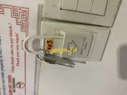 Ảnh đánh giá gái gọi