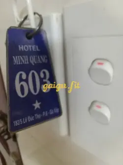 Ảnh đánh giá gái gọi