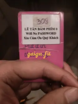 Ảnh đánh giá gái gọi