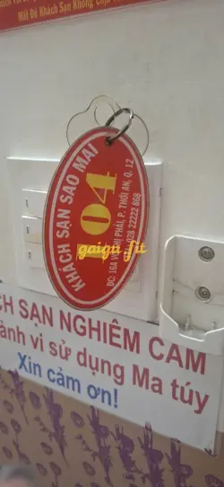 Ảnh đánh giá gái gọi