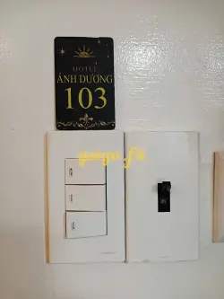 Ảnh đánh giá gái gọi