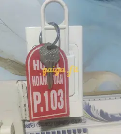 Ảnh đánh giá gái gọi