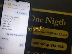 Ảnh đánh giá gái gọi
