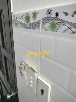 Ảnh đánh giá gái gọi