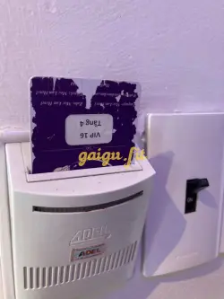Ảnh đánh giá gái gọi