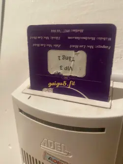 Ảnh đánh giá gái gọi