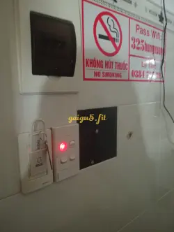 Ảnh đánh giá gái gọi